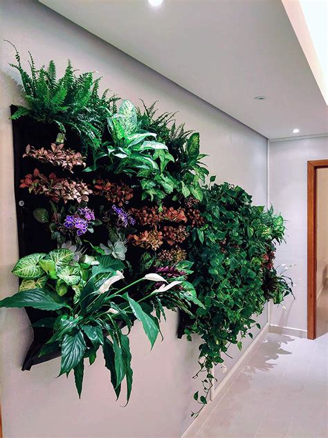 Indoor Wall Plants