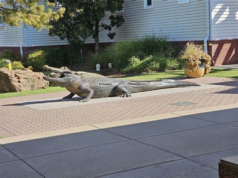 Oklahoma Aquarium, Bixby, OK: Information, Tickets and Reviews