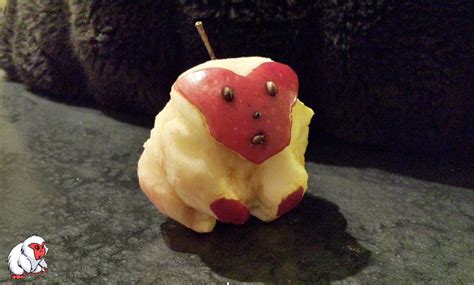 Random Contest Winners!