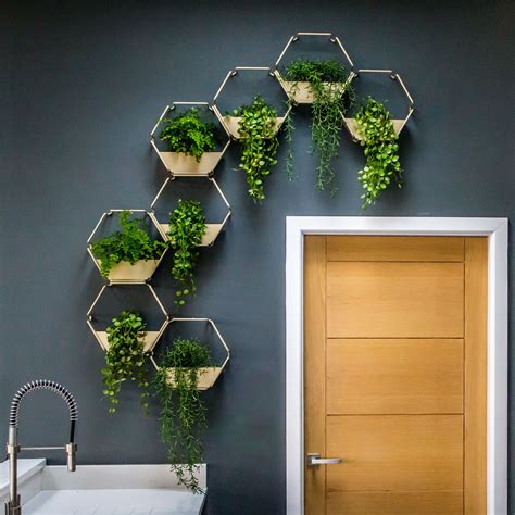Wall Planters Indoor Black at Andrew Gillan blog