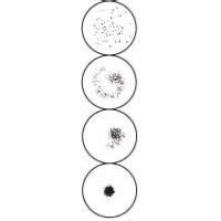 Arlington RPR Test Cards and Pipets, ASI 906030-25 30-Well Cards | 25% ...