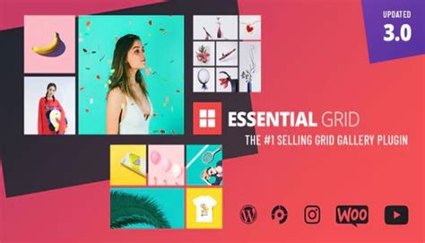 Image result for Essential Grid Tutorials