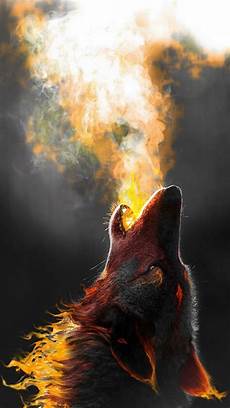 Orange Wolf Wallpaper by Wolf Wallpaper 1080p 187 Hupages 187 Iphone Wallpapers Orange Wolf Wallpaper