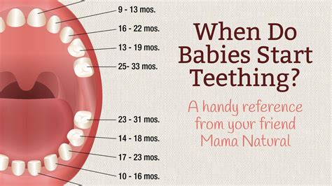 What Helps With Teething For Babies at David Daigle blog
