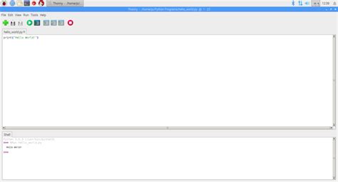 Raspberry Pi Programming 的图像结果