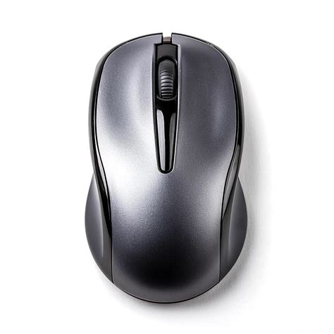 Image result for Computer Mouse Top View
