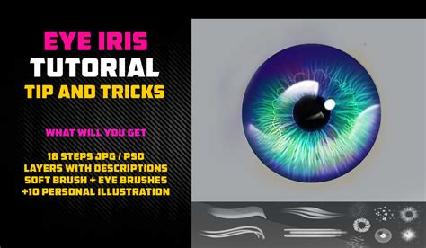 Image result for Iris Vision Tutorial