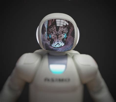 Image result for Machine Learning Python IDE