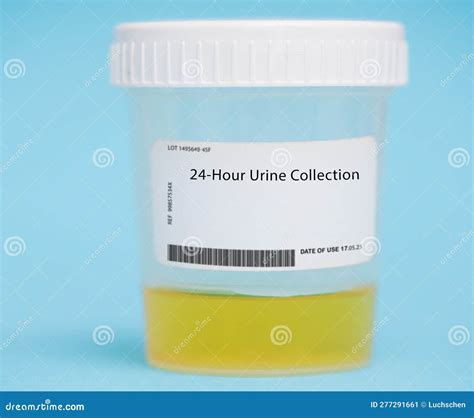 24-hour urine collection stock image. Image of electrolytes - 277291661
