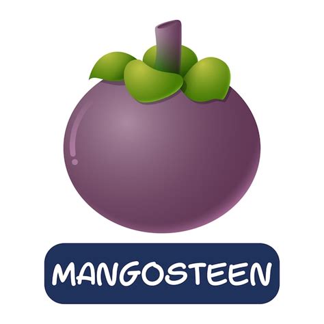 Cartoon mangosteen fruit vector isolated on white background | Premium ...