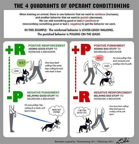 Image result for Quadrants of Operant Conditioning