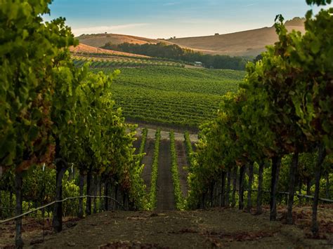THE 30 BEST Places to Visit in Napa Valley (2026)