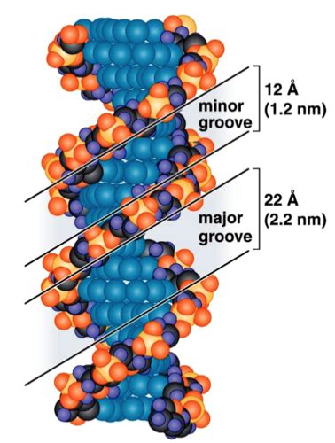 Image result for DNA Microarray Device