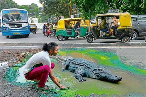 The art and science of potholes