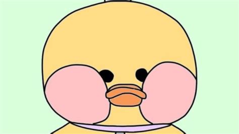 Image result for Example Project Pytorch