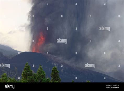 Pyroclastic Eruption 的图像结果