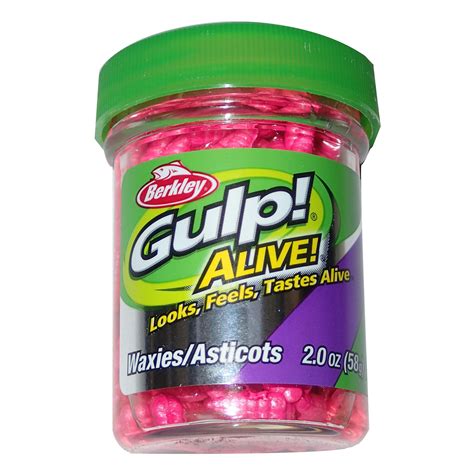 Image result for Gulp Alive