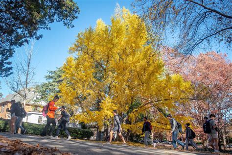 Autumn Falls Onlyfans Erome