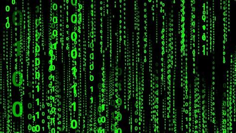 Image result for Matrix 12th Grade
