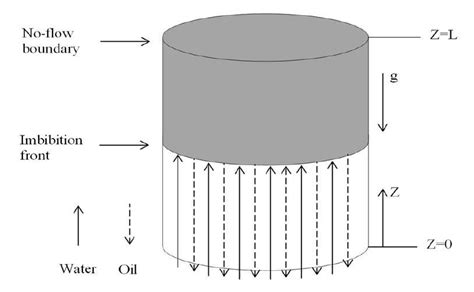 Countercurrent Flow Model 的图像结果