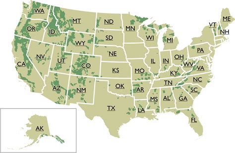 Unveiling the US Forest Map: A Seasonal Guide