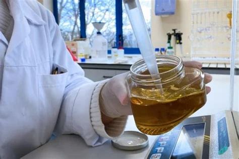 Food Testing Services - Honey Testing Service Trader - Wholesaler ...