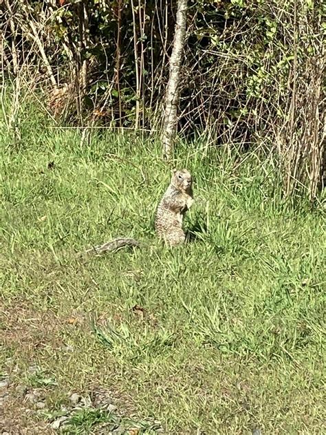 Fernhill Wetlands - Oregon | AllTrails