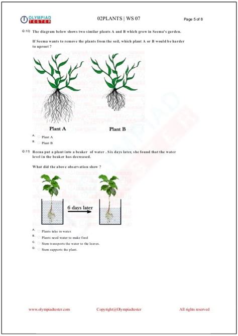 Image result for Class 2 Science Plant