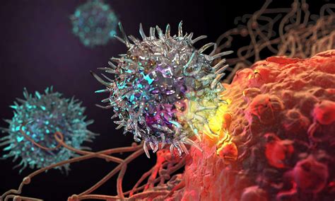 Cell therapy (beyond CAR-T) and opportunities for new medicines - Drug Discovery World (DDW)