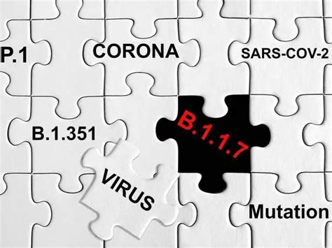 Do the vaccines prevent virus transmission? - What is the science ...