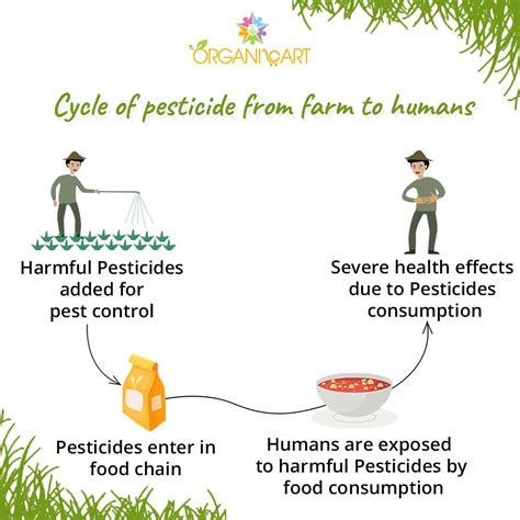Pesticides In Food Effects