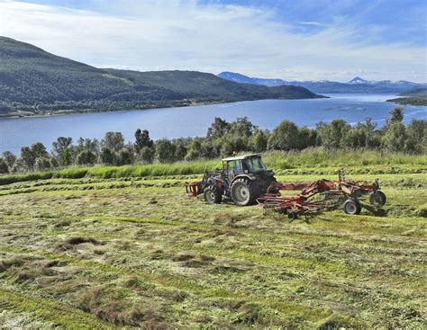 Extrem-Landwirt in Norwegen: So arbeitet Birger Bull am Nordkap ...