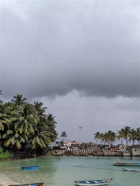 Famous Food of Lakshadweep: 10 must-try dishes of Lakshadweep | Times ...
