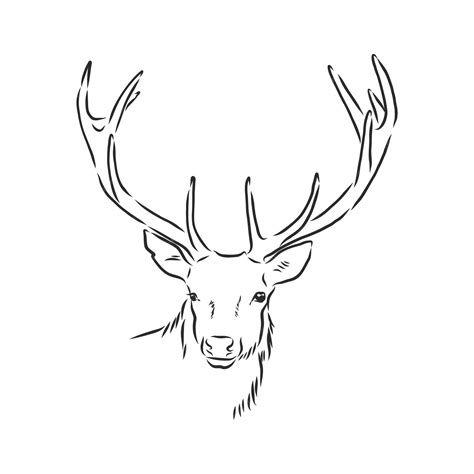 Deer Head Outline