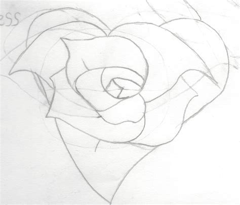 Image result for Drew Tutorial