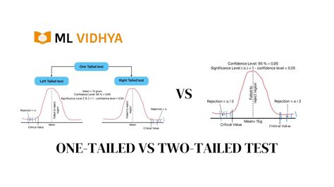 Image result for Two-Tailed Test Examples