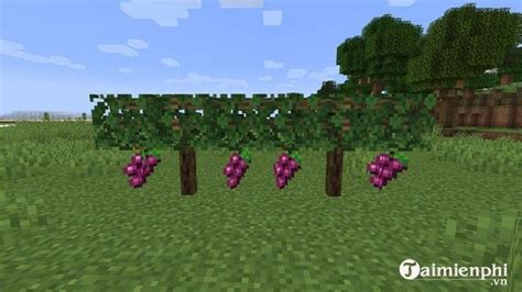 Simple Farming Mod Survival 的图像结果