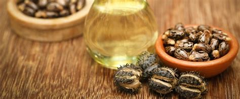 Bye Bye Dandruff! आठवड्यात कोंडा गायब करतील 'हे' 5 अँटी-डँड्रफ हेअर ऑइल ...