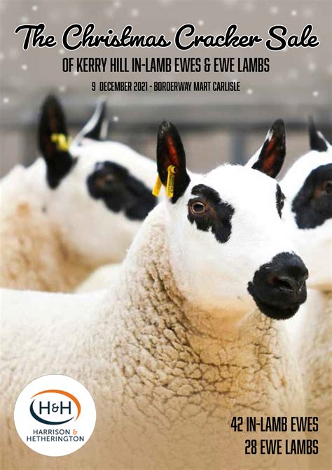 Kerry Hill Sheep Society – kerryhillsheepsociety.com