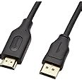 Buy AmazonBasics 6-Feet DisplayPort (not USB port) to HDMI Cable Online ...