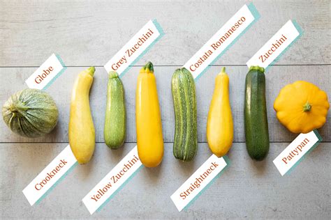 How to Choose, Store, and Prep Zucchini and Summer Squash