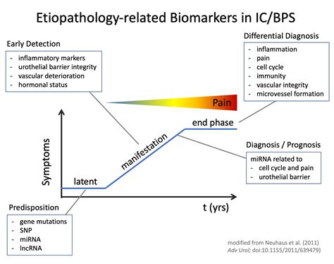 Biomarkers in the Light of the Etiopathology of IC/BPS