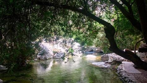 Guadalest and Algar Waterfalls - Tour, Benidorm - Central de Reservas