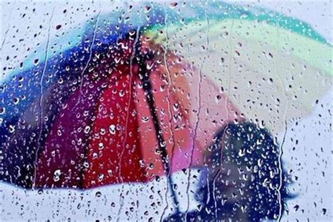 雨的图片一个人,一个人站窗前看雨图片,雨的图片配图(第2页)_大山谷图库