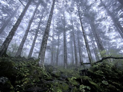 Chhattisgarh Govt developing tourist spots in Surguja forests to boost ...