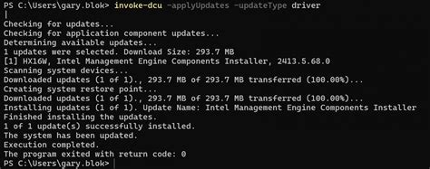 Dell Command Update Install 的图像结果
