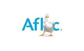 Image result for Aflac Meical Insurance