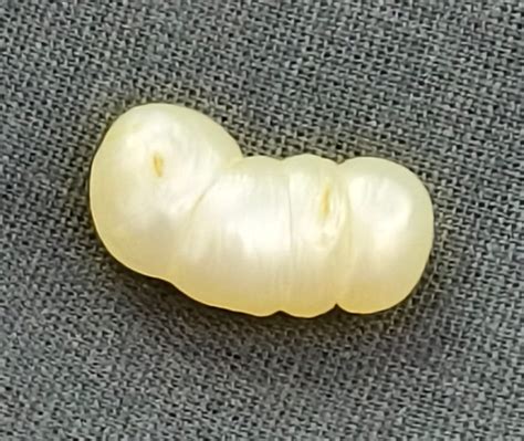 10.12/CT Natural Basra Pearl with Govt. Lab Certificate (58000) | Gem ...
