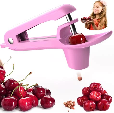 Cherry Pitter - Stainless Steel Cherries Corer Pitter Tool with Hand ...