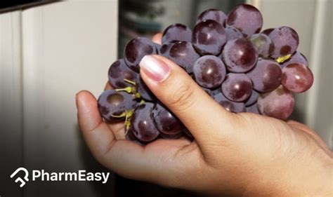Natural Blood Thinner Foods: Benefits, Risks & Precautions | Health ...